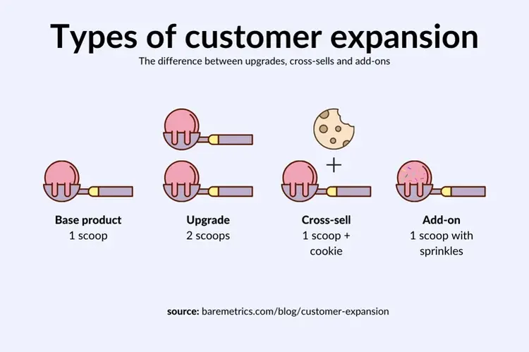 types of customer expansion
